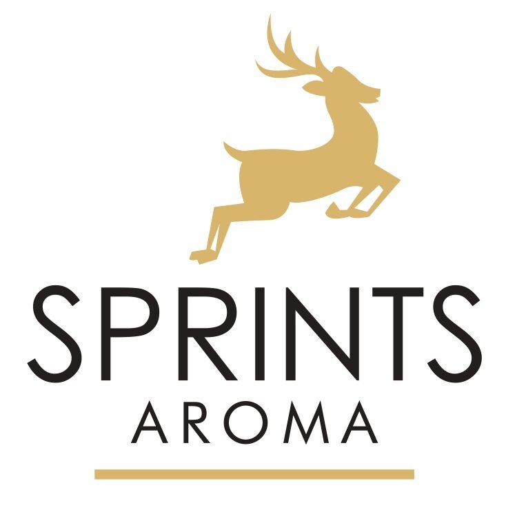 sprints.webpreview.in